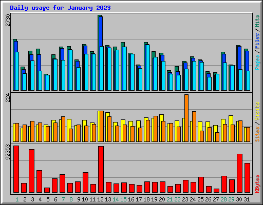 Daily usage for January 2023