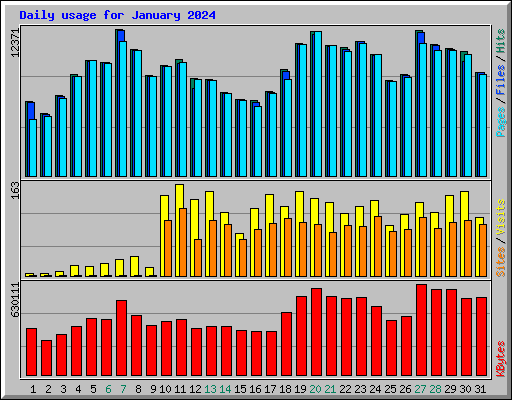 Daily usage for January 2024