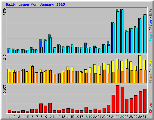 Daily usage for January 2025