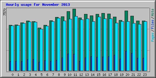 Hourly usage for November 2013