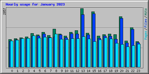 Hourly usage for January 2023