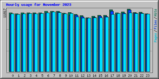 Hourly usage for November 2023