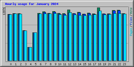 Hourly usage for January 2024