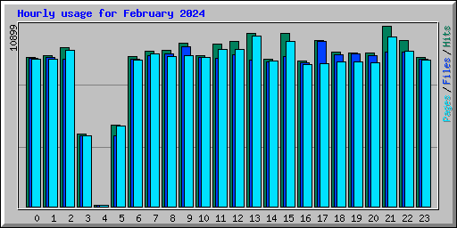 Hourly usage for February 2024