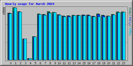 Hourly usage for March 2024