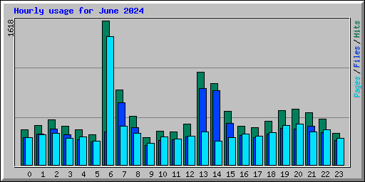 Hourly usage for June 2024