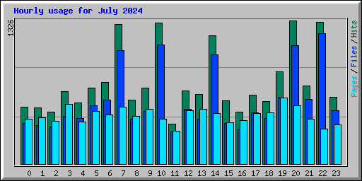 Hourly usage for July 2024