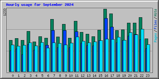 Hourly usage for September 2024