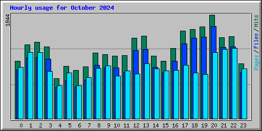 Hourly usage for October 2024