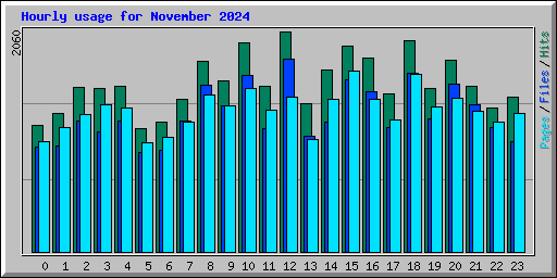 Hourly usage for November 2024