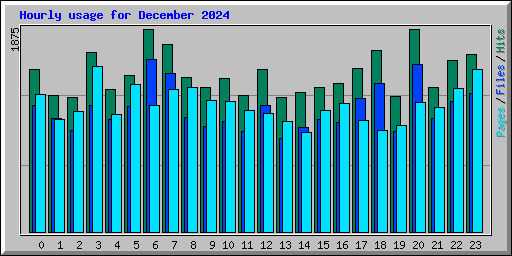 Hourly usage for December 2024