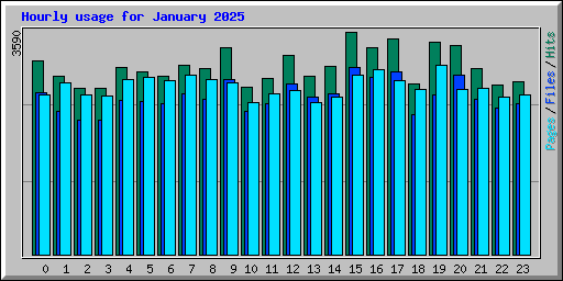 Hourly usage for January 2025