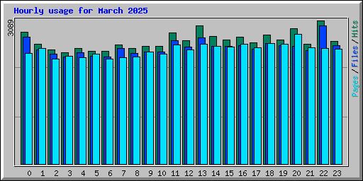 Hourly usage for March 2025
