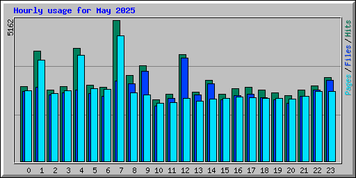 Hourly usage for May 2025