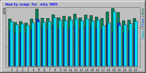 Hourly usage for July 2025