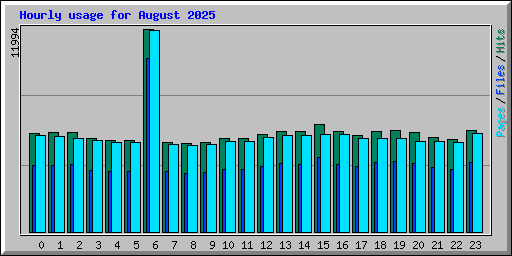 Hourly usage for August 2025