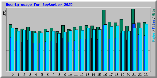 Hourly usage for September 2025