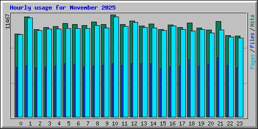 Hourly usage for November 2025