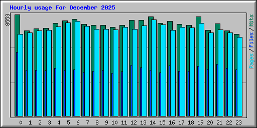 Hourly usage for December 2025