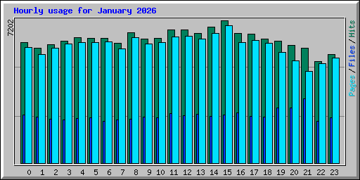 Hourly usage for January 2026