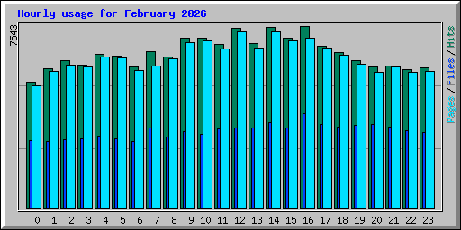 Hourly usage for February 2026