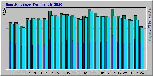 Hourly usage for March 2026