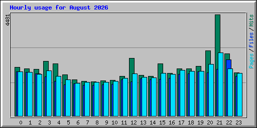 Hourly usage for August 2026